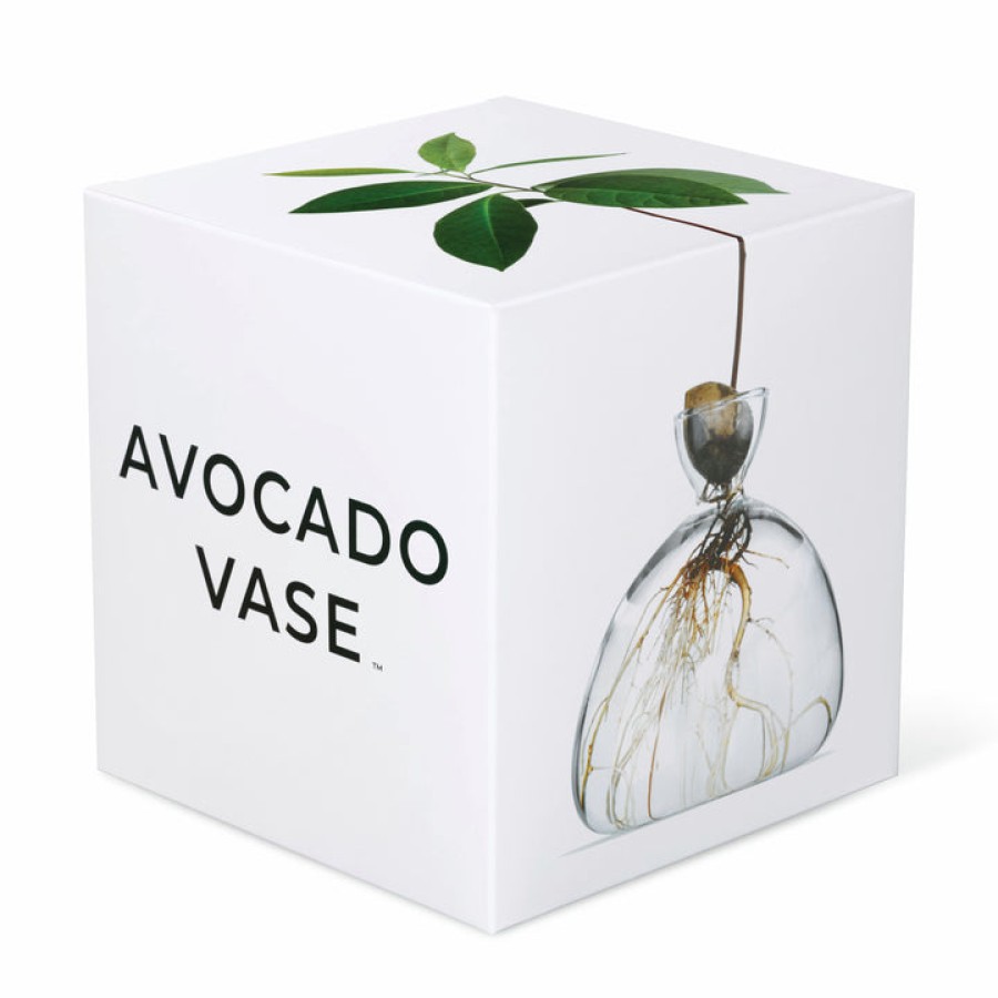 Home Ilex Studio | Avocado Vase, From Ilex Studio