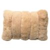 Home Intiearth | Alpaca Stripe Lumbar Pillow Champagn