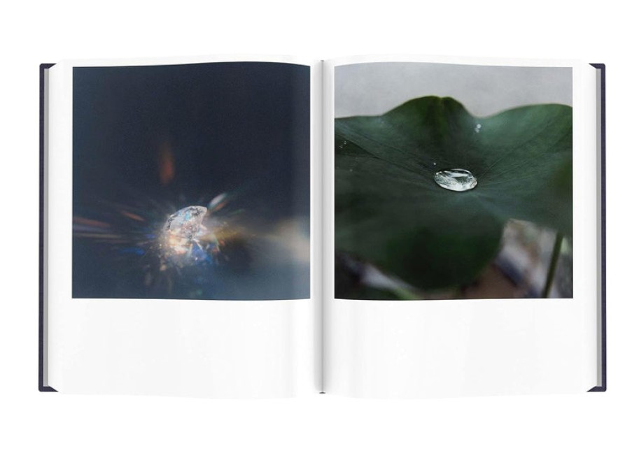 Book Aperture | Rinko Kawauchi: Illuminance: The Tenth Anniversary Edition Assorted