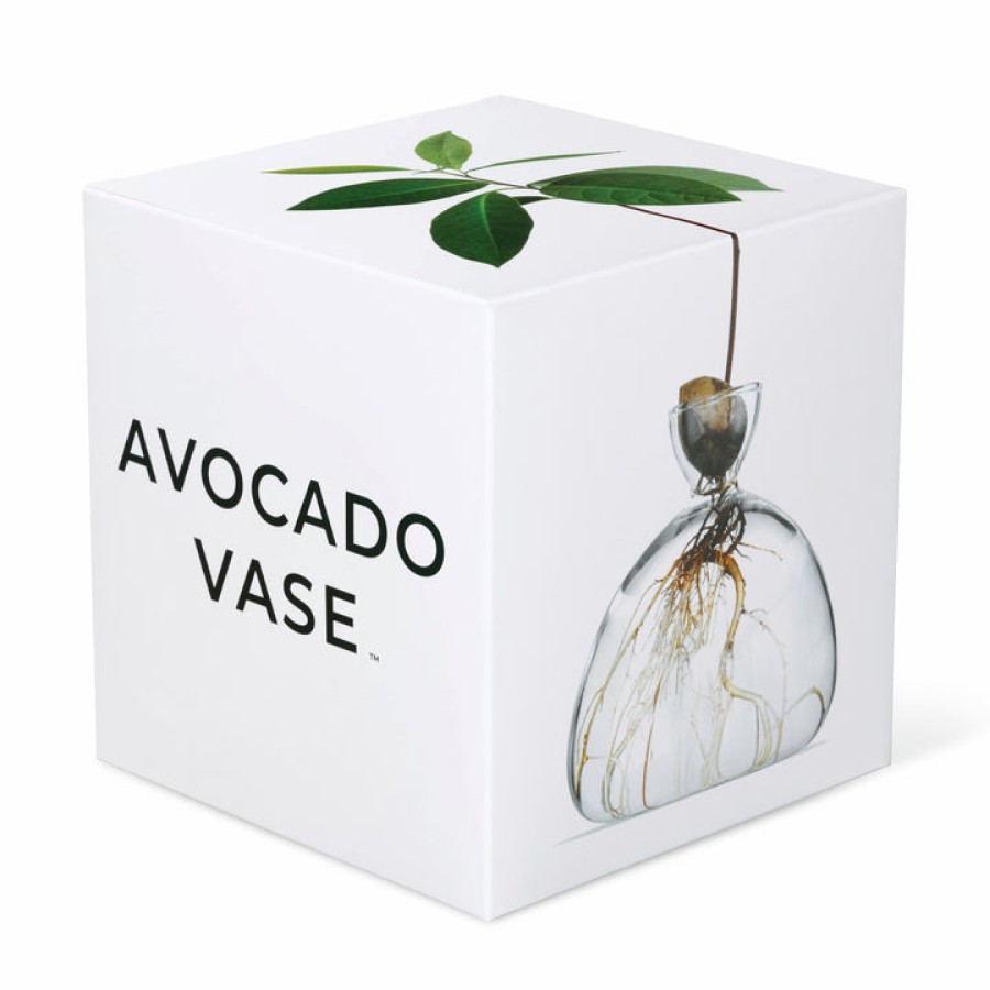 Home Ilex Studio | Avocado Vase, From Ilex Studio