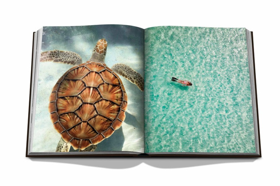 Book Assouline | Jamaica Vibes Assorted