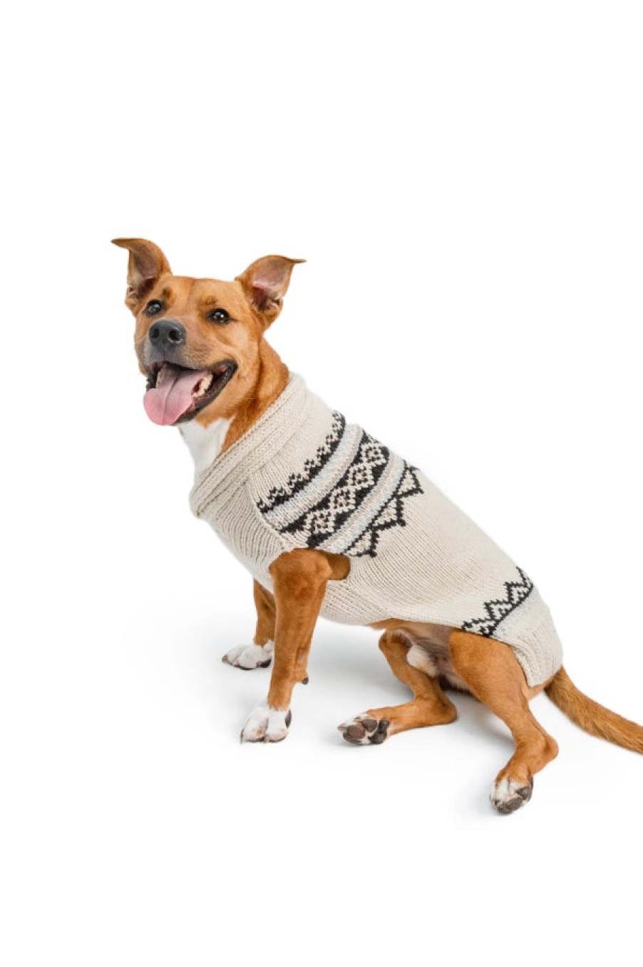 Home Chilly Dog | Wyatt Dog Sweater, From Chilly Dog Cream