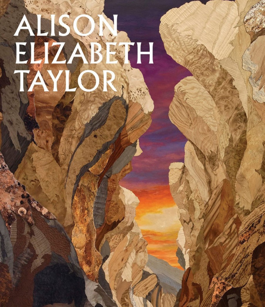 Book DelMonico Books | Alison Elizabeth Taylor: The Sum Of It Assorted