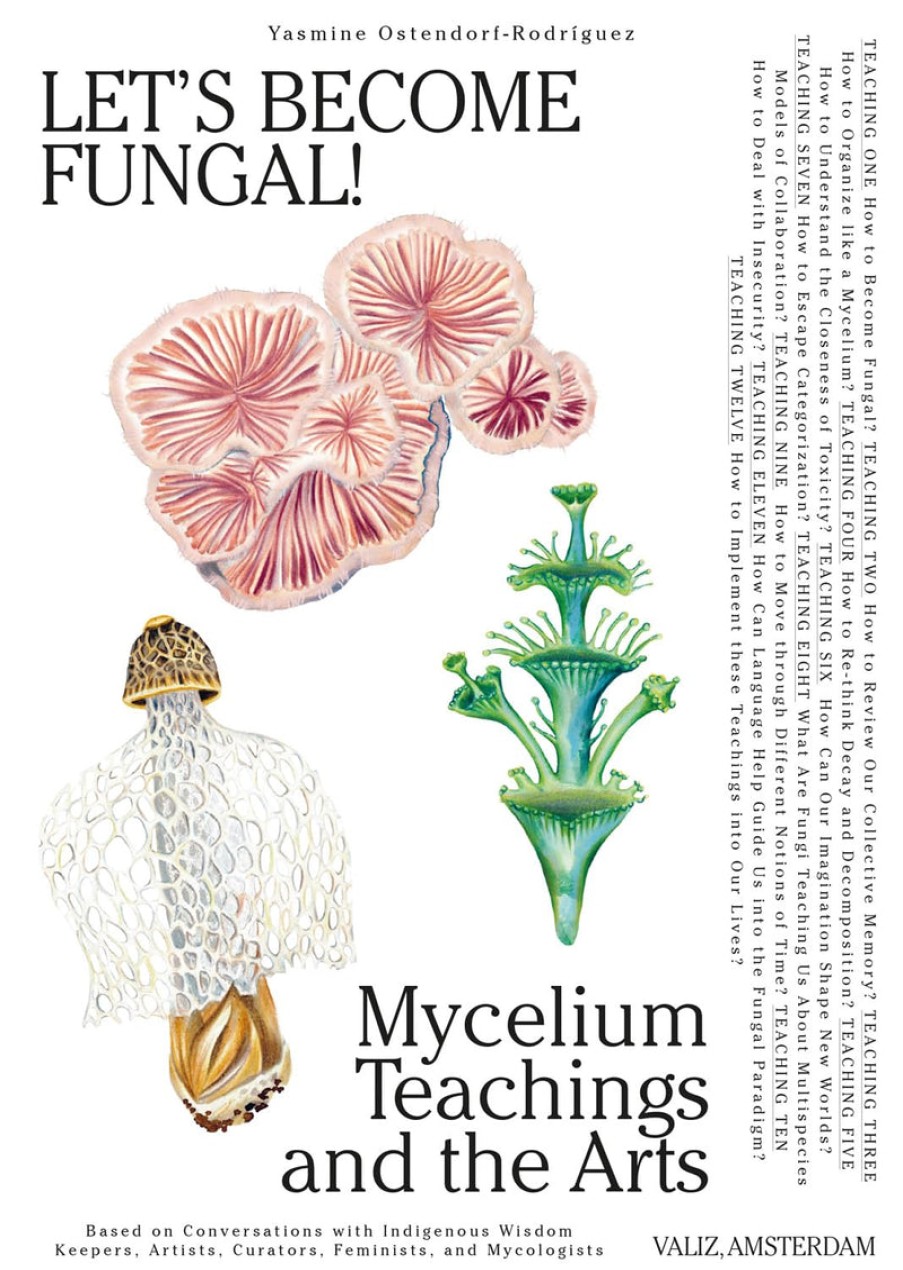 Book Valiz | Let'S Become Fungal!: Mycelium Teachings And The Arts Assorted