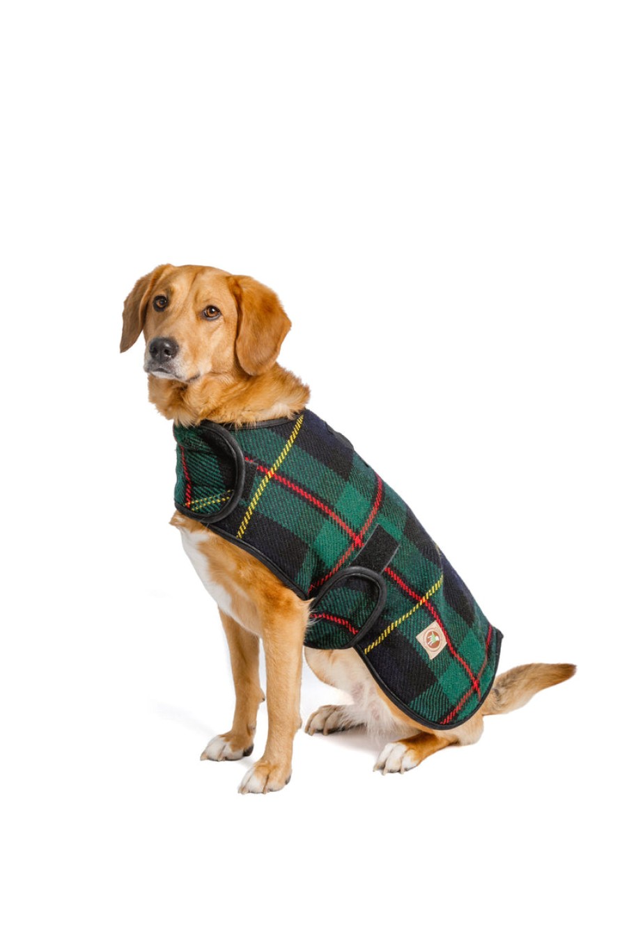 Home Chilly Dog | Tartan Dog Blanket Coat Navy