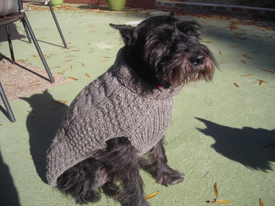 Home Chilly Dog | Cable Knit Dog Sweater, From Chilly Dog Grey