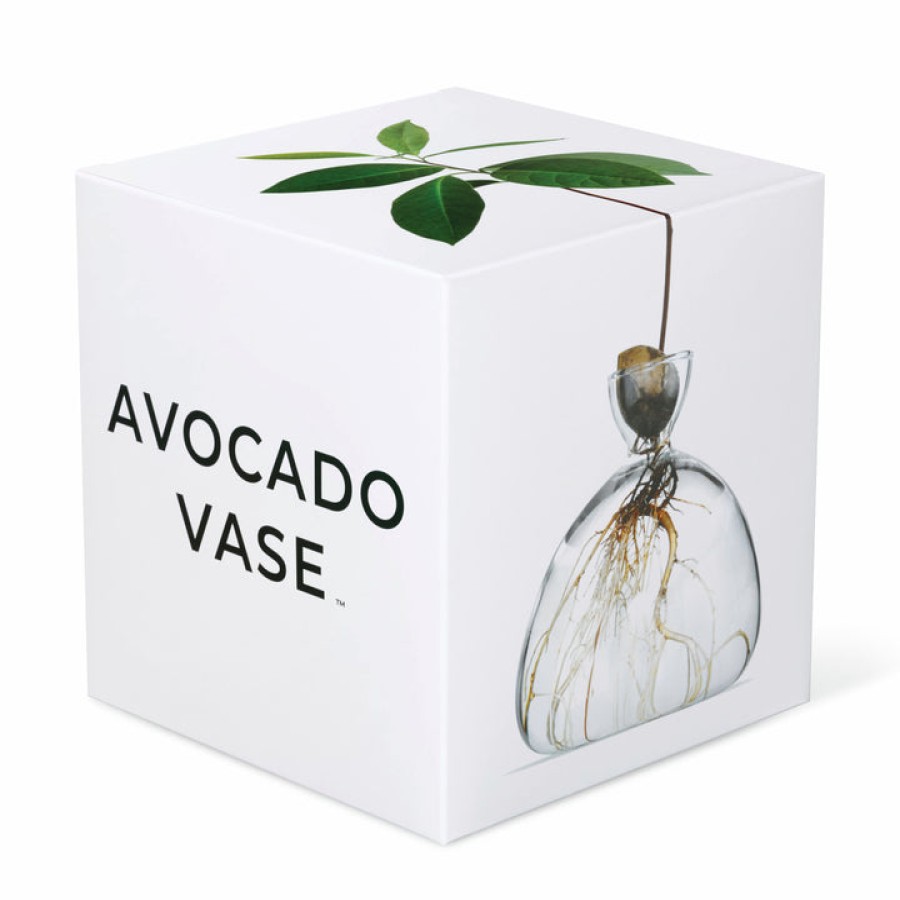 Home Ilex Studio | Avocado Vase, From Ilex Studio