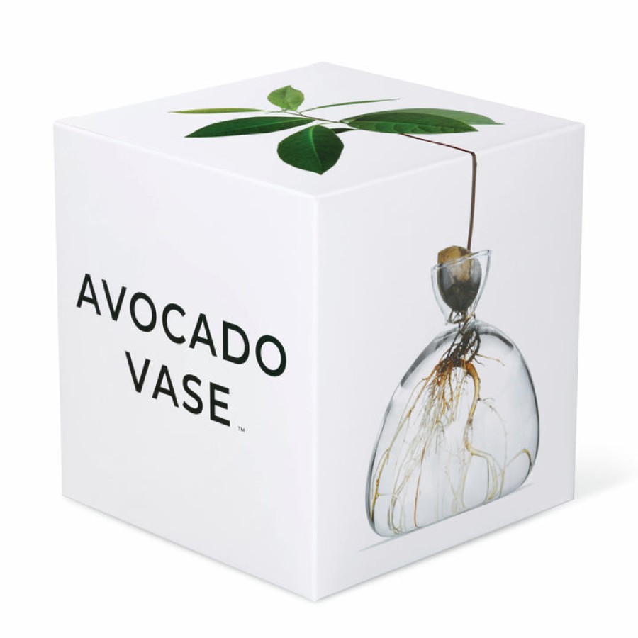 Home Ilex Studio | Avocado Vase, From Ilex Studio